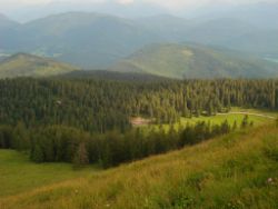 2013-07-07_Kotalm-Jochberg (246).JPG